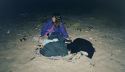 Image of family waiting to see turtles coming ashore at hatchery area at Exmouth WA.
