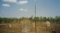 Image of Magnetic Termite mounds in Litchfield National Park NT.