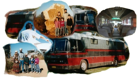 Bus collage image