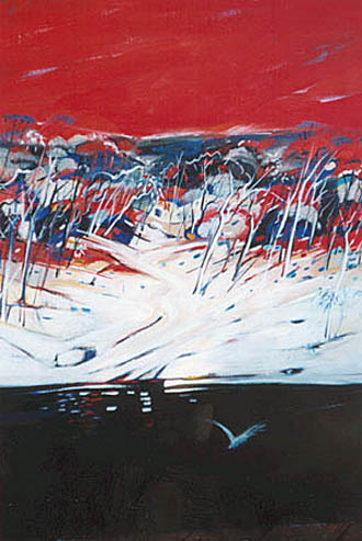 Shoalhaven landscape