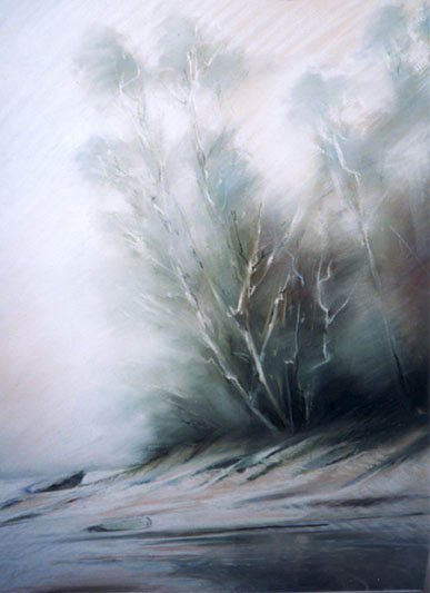 Coastal Mist over Willinga