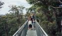 image of fa,ily on Valley of the Giants tree top walk near Walpole in WA.