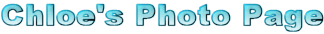 Chloe's photo page logo